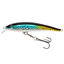 JINKA S99. 9.9CM 10G