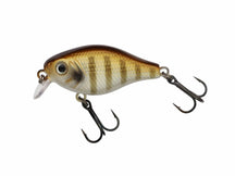 BERKLEY PULSE FRY SHALLOW 3.8CM 4.5G