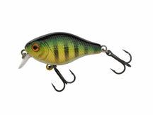 BERKLEY PULSE FRY SHALLOW 3.8CM 4.5G